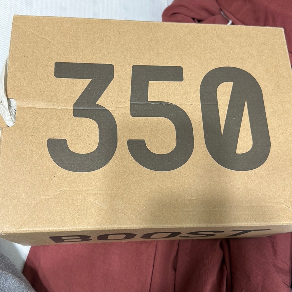 Yezzy 350